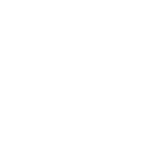 BCS International